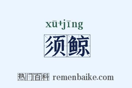 须鲸是什么意思的图片